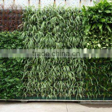 PV290 Plastic Green Wall Container,vertical Wall ,Automatic Irrigation,indoor and Outdoor photo-2