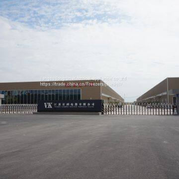 100L Commercial Freezer photo-2