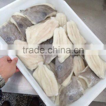 Frozen Fillets of John Dory Fillet Zeus Faber Fillet 150-200g