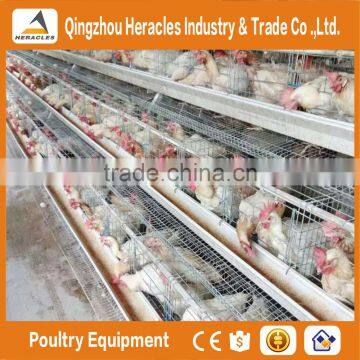 High Quality Chicken Farm Automatic Layer Poultry Equipment Chicken Cage for Sale photo-5