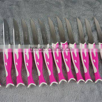 51010 12PCS STAINLESS STEEL Fruit Knife Set photo-5