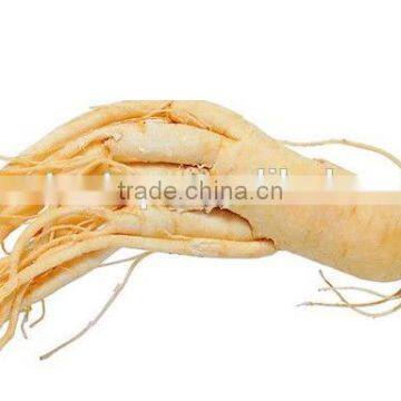 Chinese Ginseng Slimming Tea 2g *20 Bags /box Green Tea With Ginseng Slimming Tea Bags OEM to USA England Canada Australia photo-4