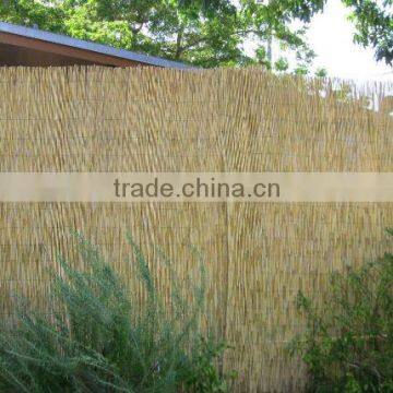 reed fence