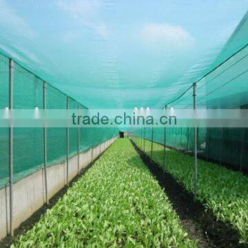 PE ANTI-INSECT NET UV TREATED,LONG LIFE