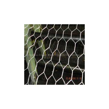 Galvanized Hexagonal Wire Mesh/Hexagonal Wire Netting