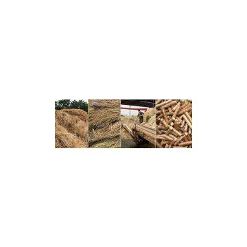 Sawdust Pellet Mill/China Hot Sale Sawdust Pellet Mill/Sawdust Pellet Mill For Sale