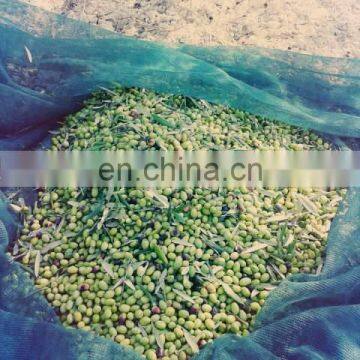 Harvest Olive Netting HDPE Warp Knitted Green Olive Gathering Net for Sale photo-3