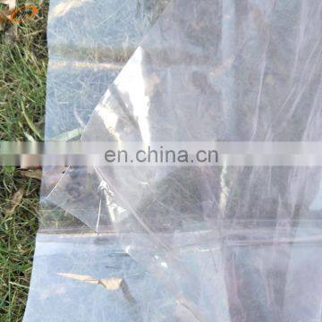 0.03 - 0.2 mm Transparent Plastic Agricultural Cover/greenhouse film roller/plastic film for mushroom