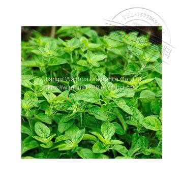 High Quality Cattle to Essential Oil Wholesale