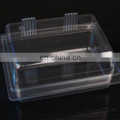 Multistation Automatic Disposable Plastic Glass Cups Box Thermoforming Making Machines Price photo-3