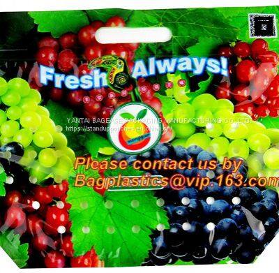 Slider Zipper Fruit Vegetable Bags, Customizable Stand Up With Handle Packing Bag, Fruits Storage Packaging photo-4
