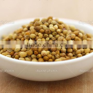 Coriander Seeds