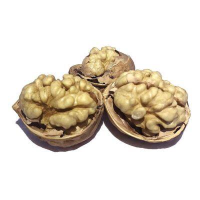 New Crops Wholesale Walnut Kernels Halves Competitive Price Size 30 32 34 photo-4