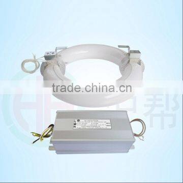 NEW Technology Electronic Ballast 80W Induction Lamp Energy Saving