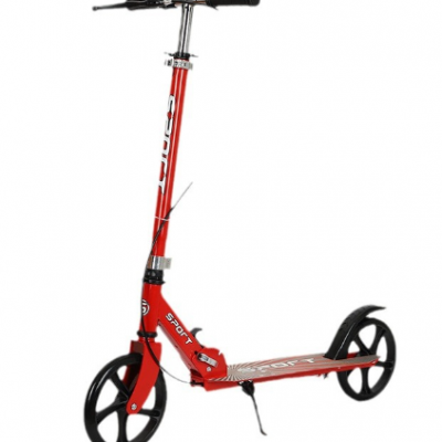 Neuer Zweirad-Scooter für Spazierg?nge im Stadtpark, für Jugendliche und Kinder zur Fortbewegung, Faltbarer Scooter mit gro?en R?dern (Wechat: 13510231336)