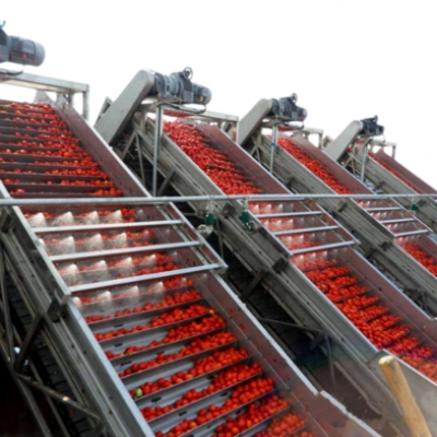 Fully Automatic Blackberry Jam Blueberry Jam Raspberry Jam Production Line