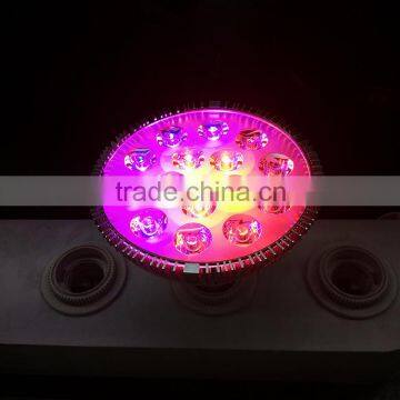 Promotion Price 15w Led Spot RGB Par Light
