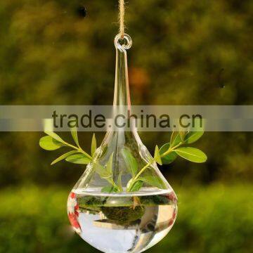 Fashion Hanging Water Drop Shaped Glass Vase For Home