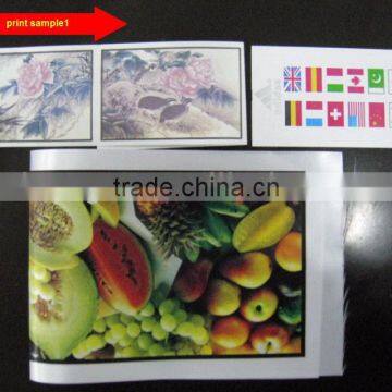 Automatic Flexo Fabric Label Printing Machine photo-4