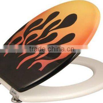 Popular design toilet seats