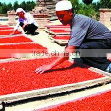 Super China Natural Herb Medicines Dried Fruit Tea Gouqizi Relieve Cough Dried Wolfberry Medlar Herbal Tea photo-4