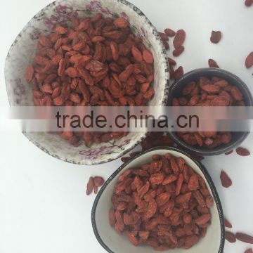 2016 New Crop Goji Berries Dried