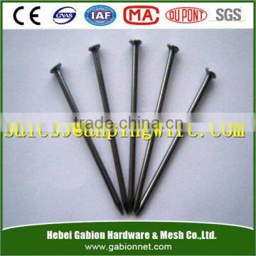 polished&galvanized common nail/wire nails/steel nails