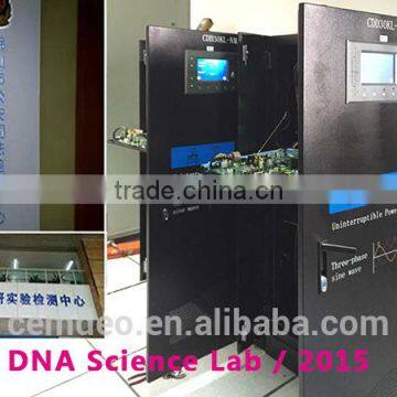 Best Online Low Frequency UPS System Made in China