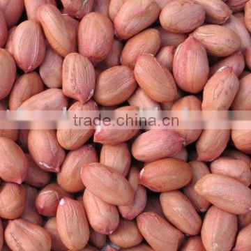 peanut kernel luhua