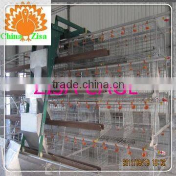 Kenya Marketsupply Poultry Layer Chicken Cage Farm Equipment Factory From Zisa photo-4