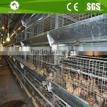 Poultry farm hot dipped galvanized steel pullet chicken cage