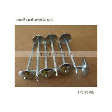 Roofing Nail Type and Iron Material roofing nail