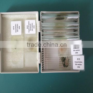 Different mineral thin grinding microscope prepared slide