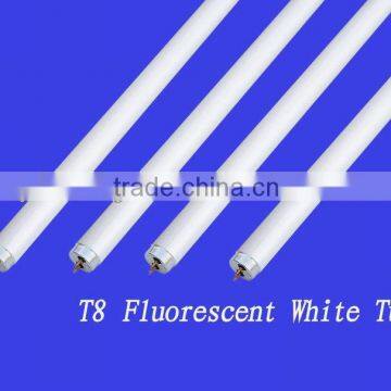 20W 40W T8 Fluorescent Lamp T8 Light 3000HOURS