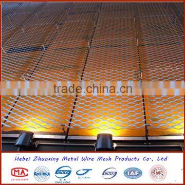 Supply Perforated Metal Mesh/Expanded Metal/Expanded Metal Mesh photo-3
