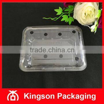 Disposable Transparent Fruit Container