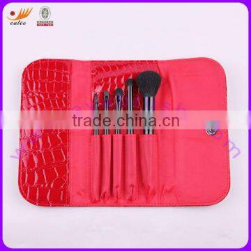 5 Piece Mini Makeup Brush Kit