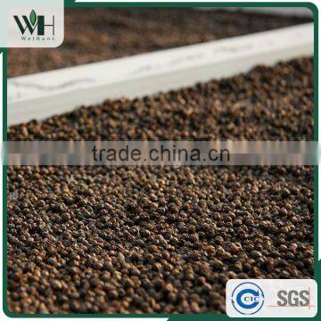 Vietnam Grade A Good Price Black Pepper 500gl for Powder photo-6