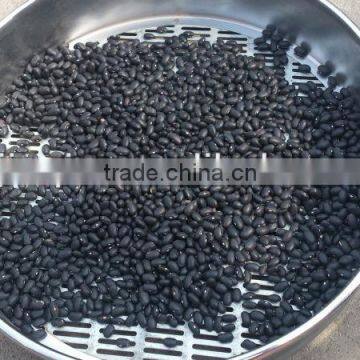 2015 Crop Black Kidney Bean photo-2