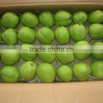 2013 crop fresh Su pear early mature