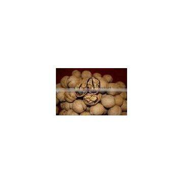 chinese dried walnut kernel for sale