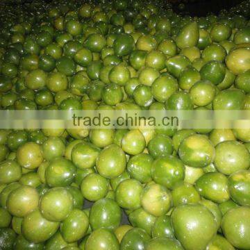 Chinese Fresh Pomelo