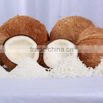DESICCATED COCONUT HIGH FAT FINE GRADE - Premium Quality photo-2