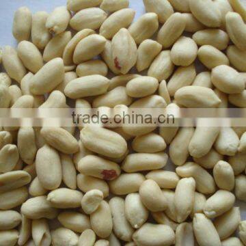 38/42 BLANCHED PEANUT KERNEL FOR SELL