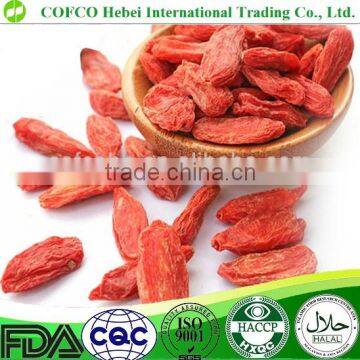 Goji berries Chinese medlar