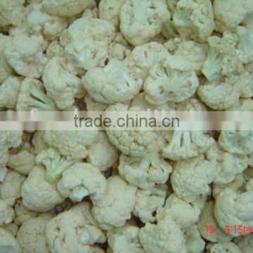 hot sale IQF frozen bulk fresh cauliflower