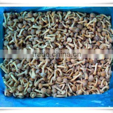 Material of Soup/iso Certification /china Frozen Food Mushroom photo-3