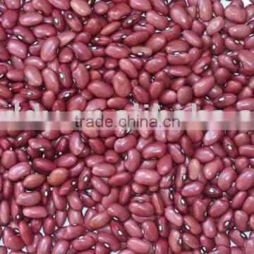 Red kidney bean