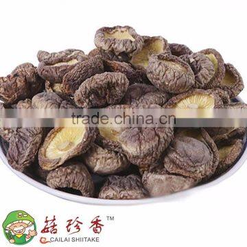Free Shipping Premium Fresh Flower Shiitake Mushroom Spawn Cultivation photo-3