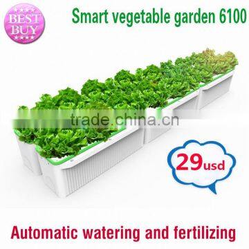 Good look succulent plants flower planter pot